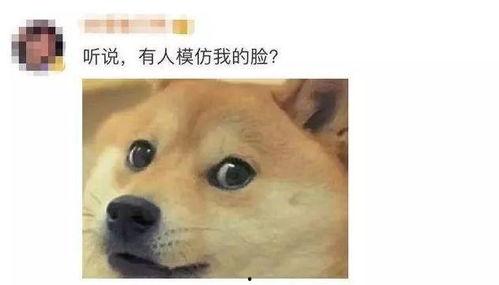 微信吃瓜表情包的使用场景,揭秘社交圈中的“瓜田”风云