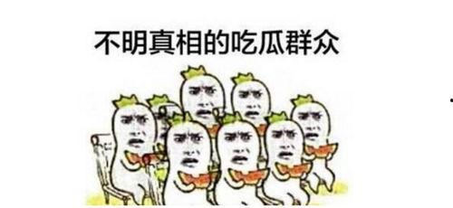 娱乐吃瓜群众上线视频,揭秘热门视频背后的故事