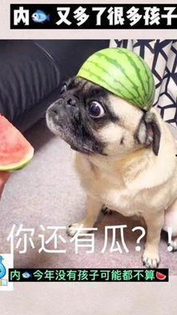 娱乐吃瓜酱宝宝是谁啊