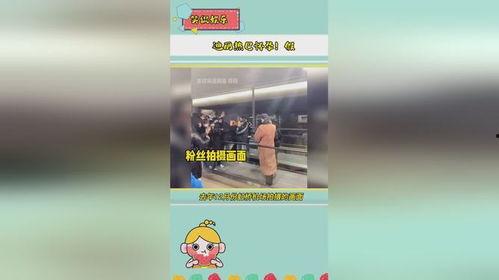 吃瓜娱乐频道官网下载,下载官网，畅享海量娱乐资讯