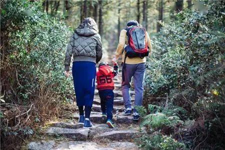 娱乐吃瓜酱爬山,娱乐吃瓜酱带你领略爬山乐趣