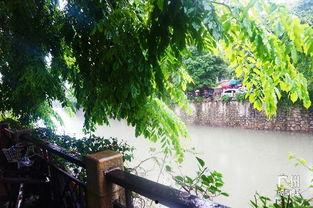 吃瓜娱乐间江南,吃瓜娱乐间里的文学奇才