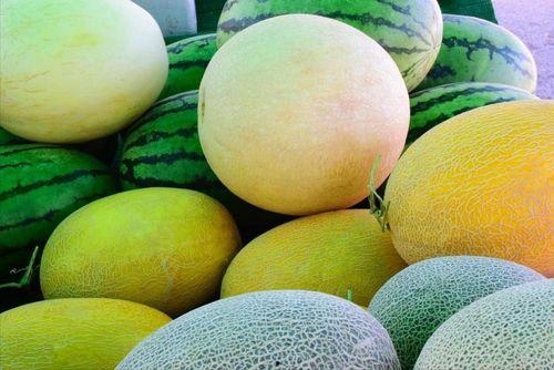 娱乐圈哪个地方吃瓜最好,揭秘最佳“吃瓜”圣地