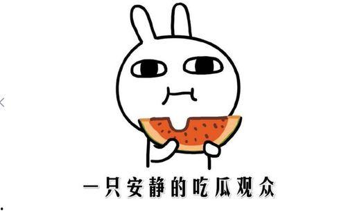 吃瓜群众的意思,网络时代的围观者与传播者