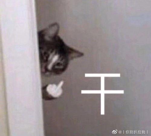 女生回复吃瓜表情包什么意思,女生回复背后的含义