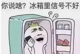 娱乐吃瓜酱你是破防了吗,揭秘“破防”背后的真相与情感波动