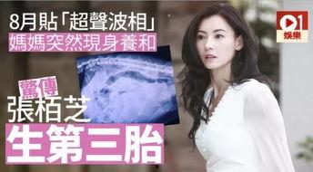 娱乐吃瓜酱一孕傻三年,揭秘“一孕傻三年”的科学真相