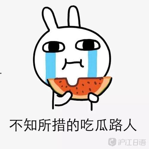 娱乐吃瓜酱陷阱,如何辨别网络谣言，守护你的网络生活